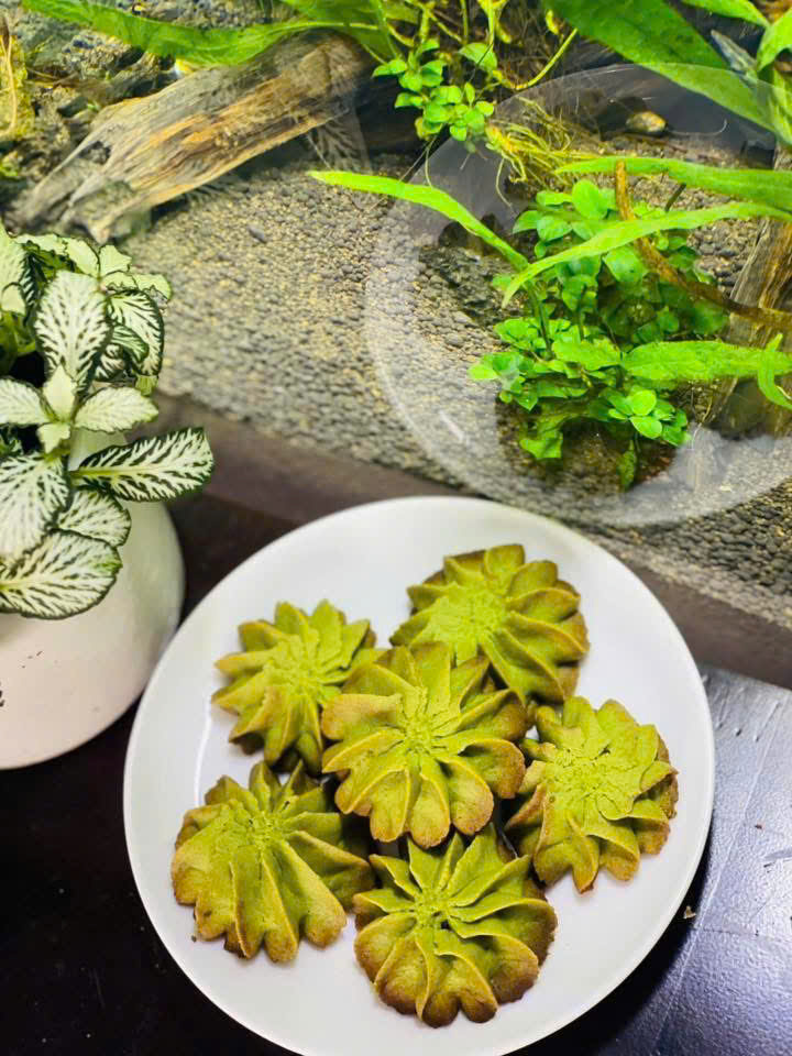 Bánh quy vị trà xanh