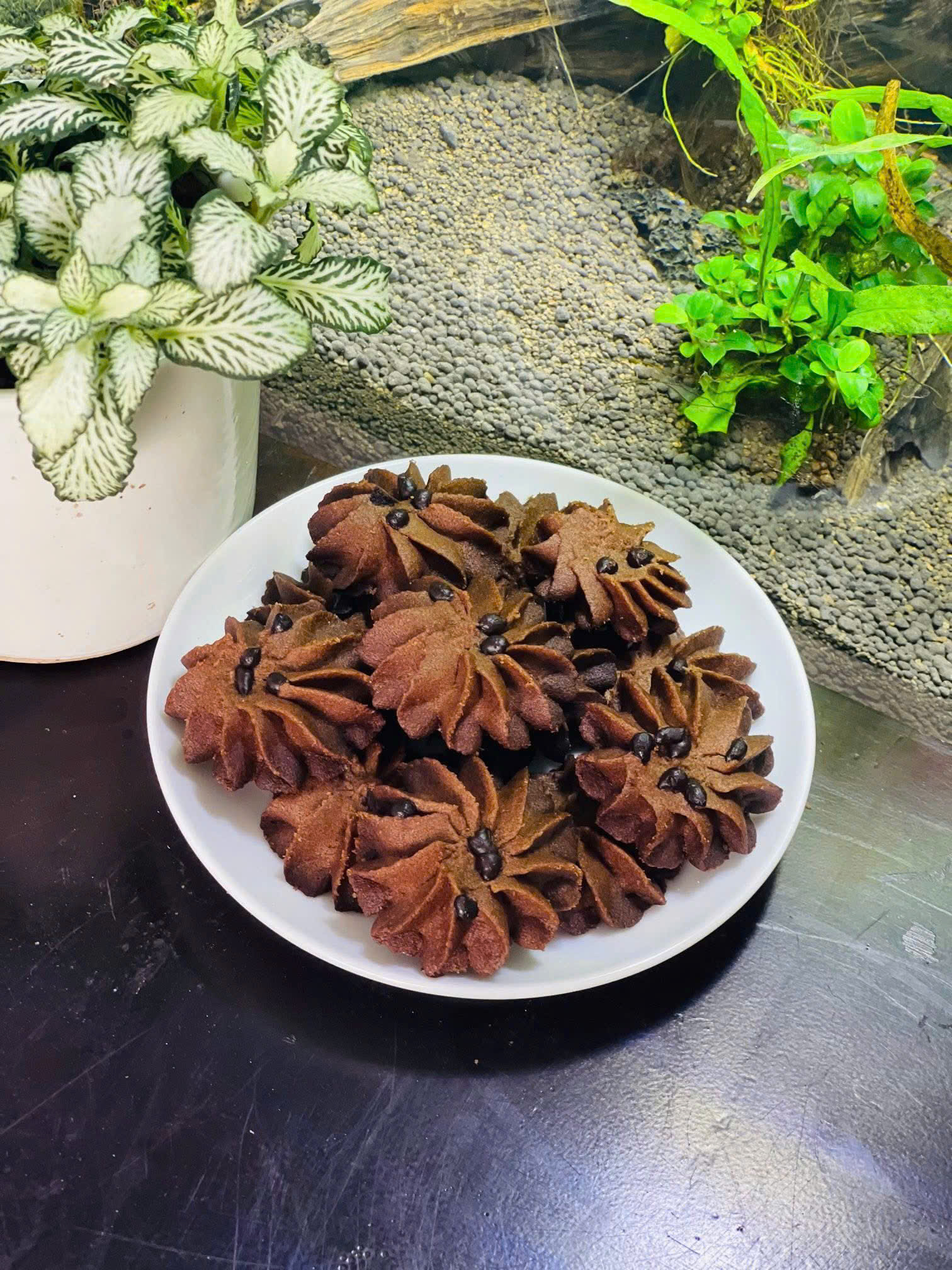 Bánh quy socola