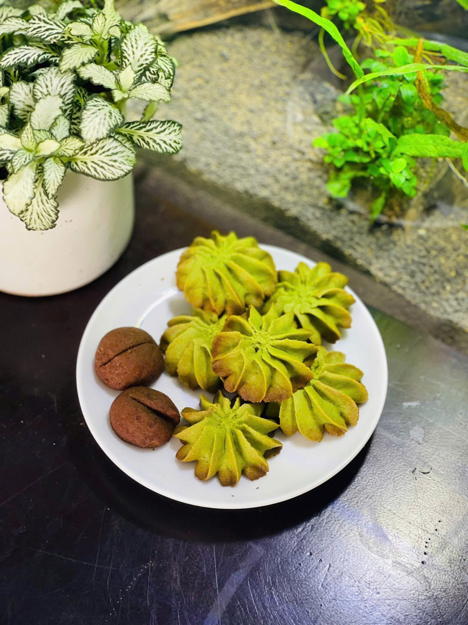 Bánh quy Mix vị
