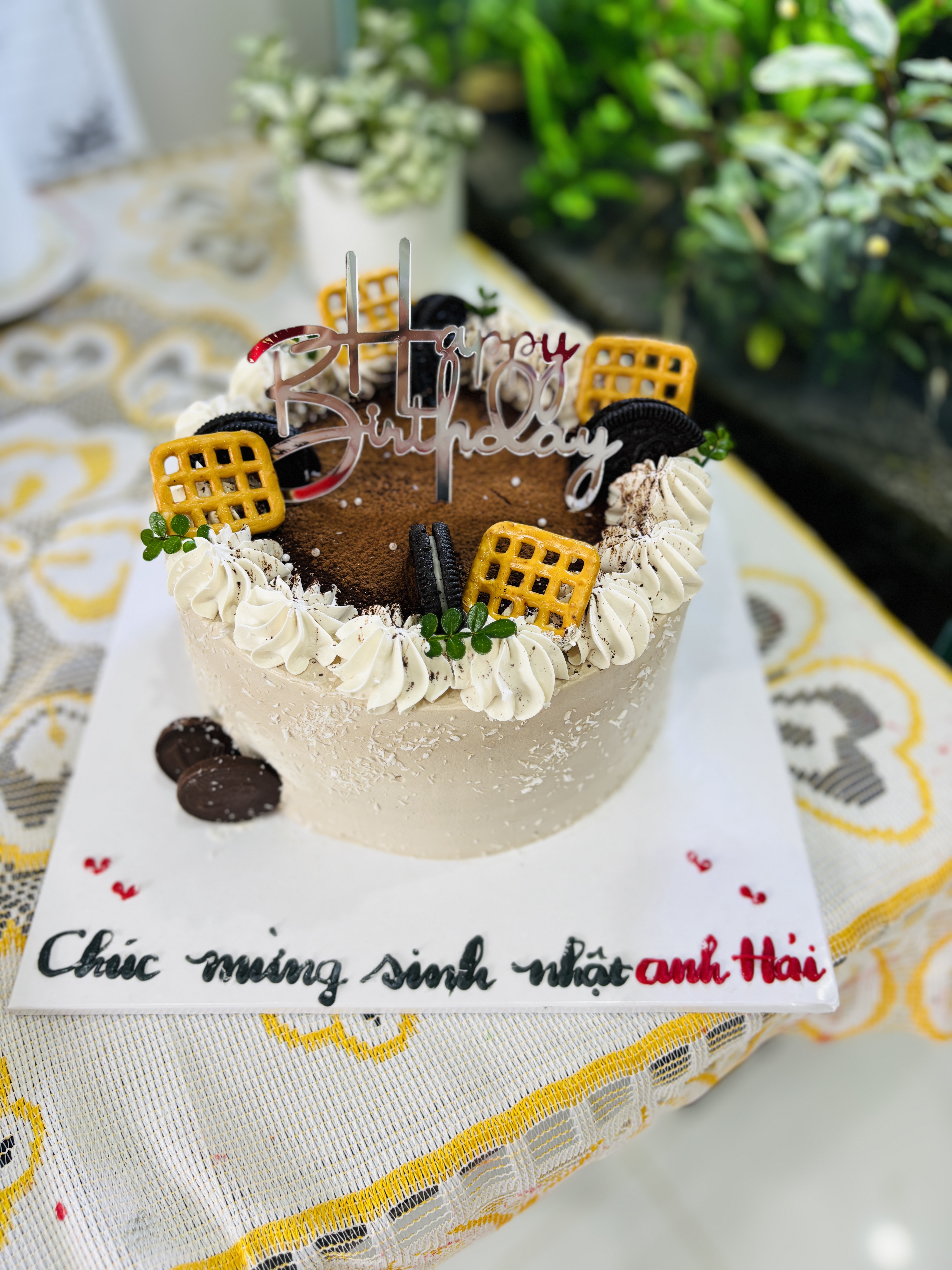 Tiramisu quý ông