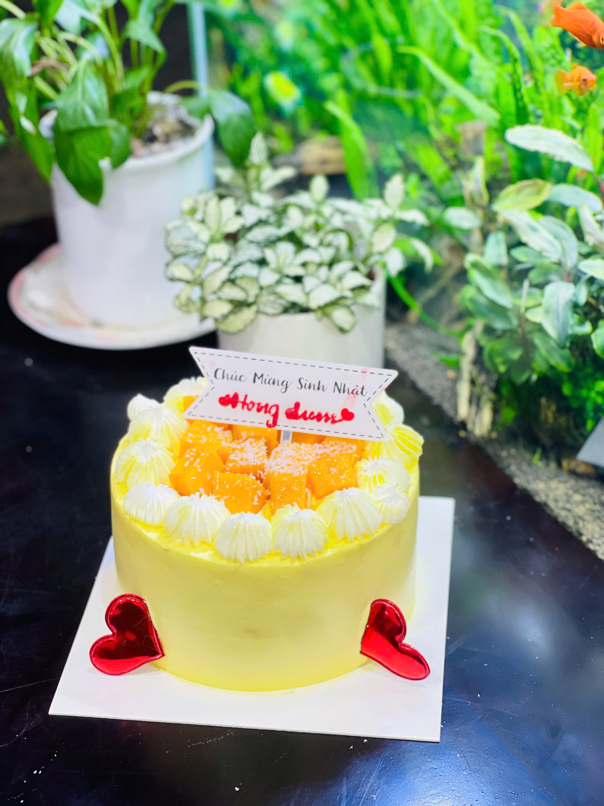 Bánh kem vàng