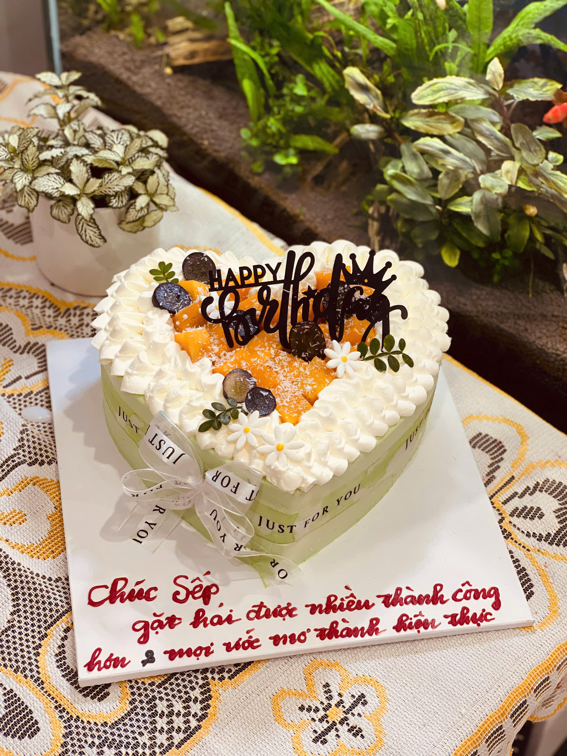 Bánh kem - sếp