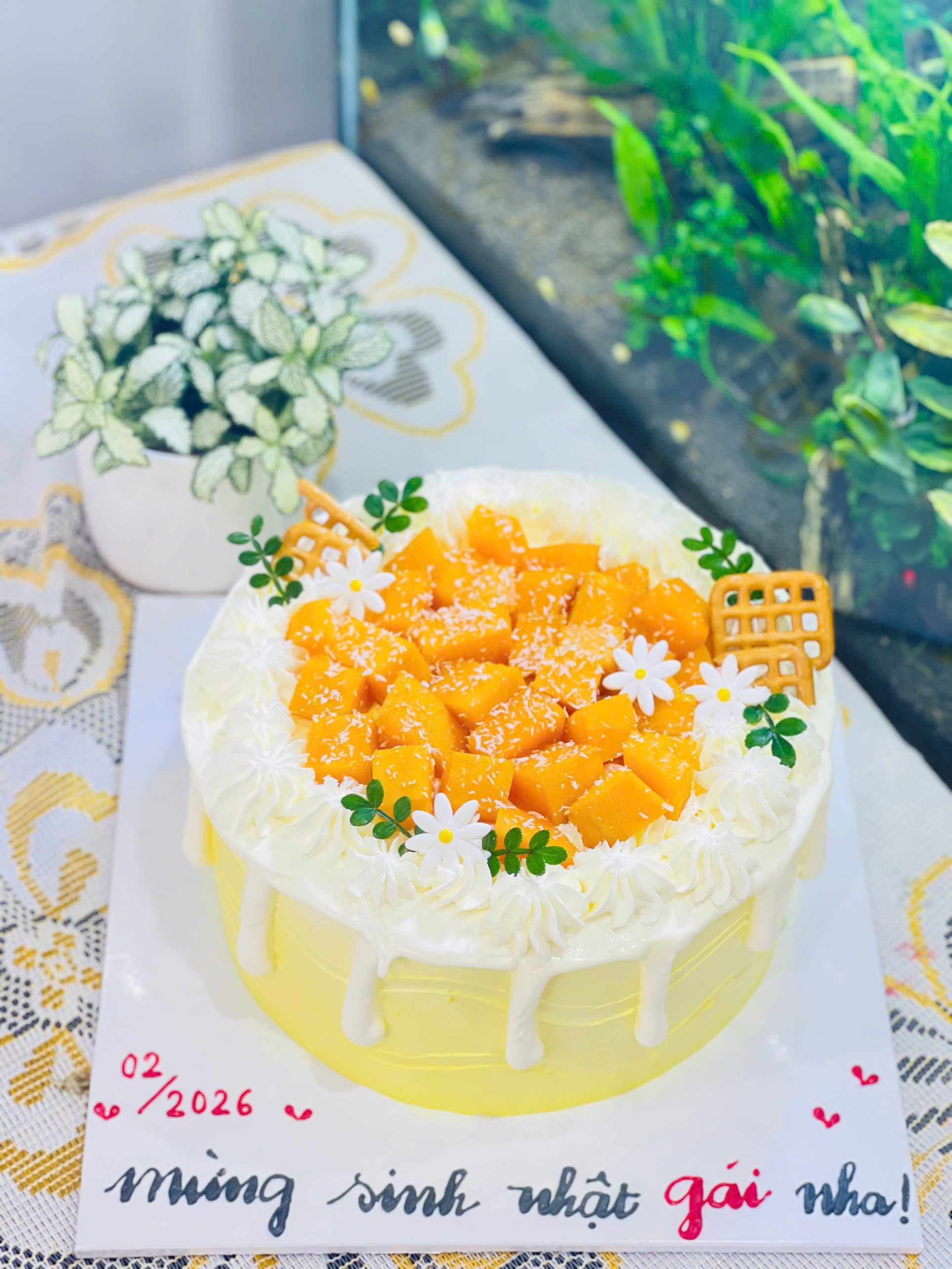 Bánh kem-xoài