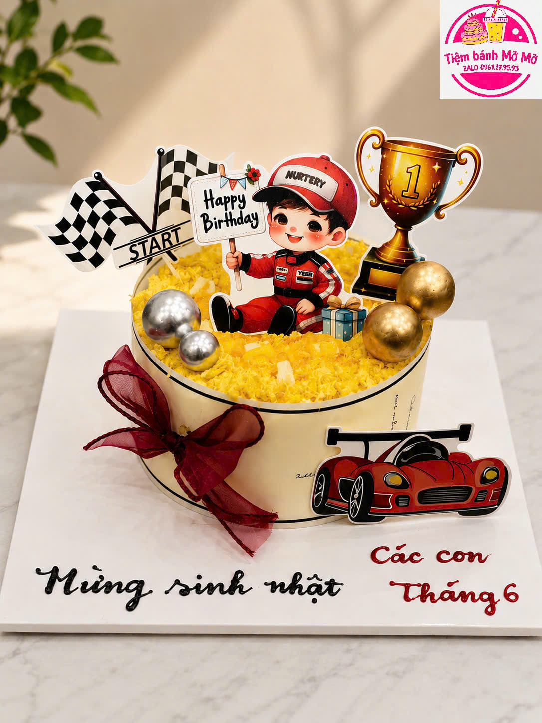Trường đua ô tô