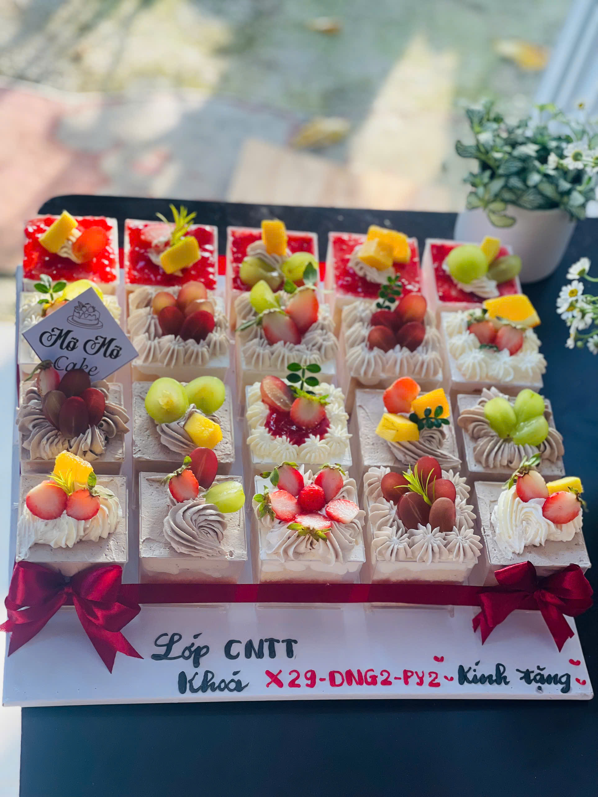 MÙA HÈ NÀY, CHỌN BÁNH GÌ CHO “MÁT LẠNH TỪ ÁNH NHÌN ĐẾN VỊ GIÁC”? 🍰🌊
